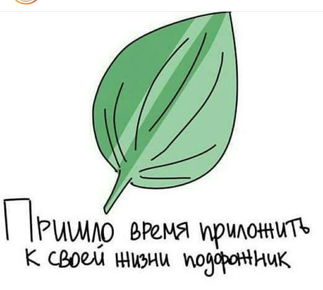 🖼
