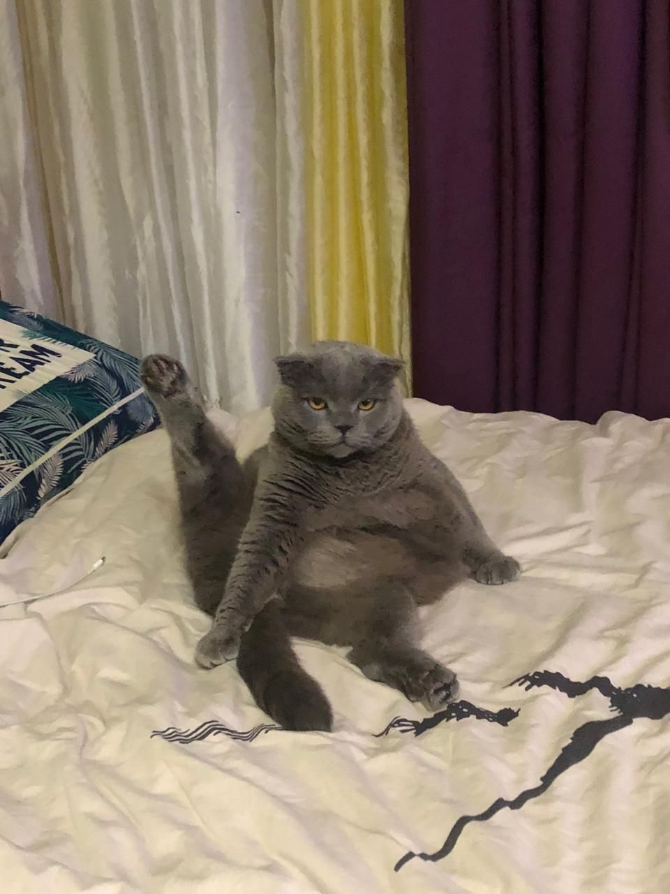 🖼