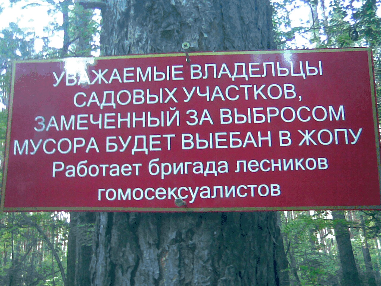 🖼