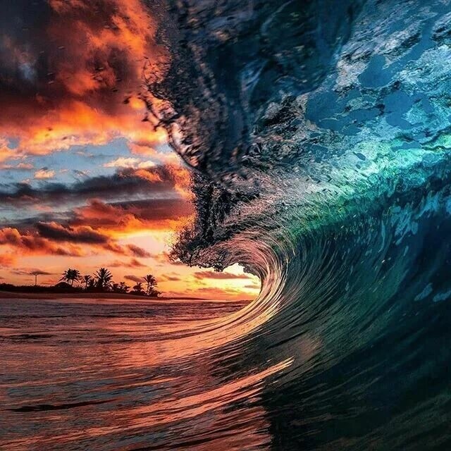 🖼