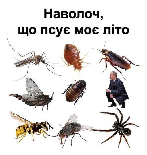🖼