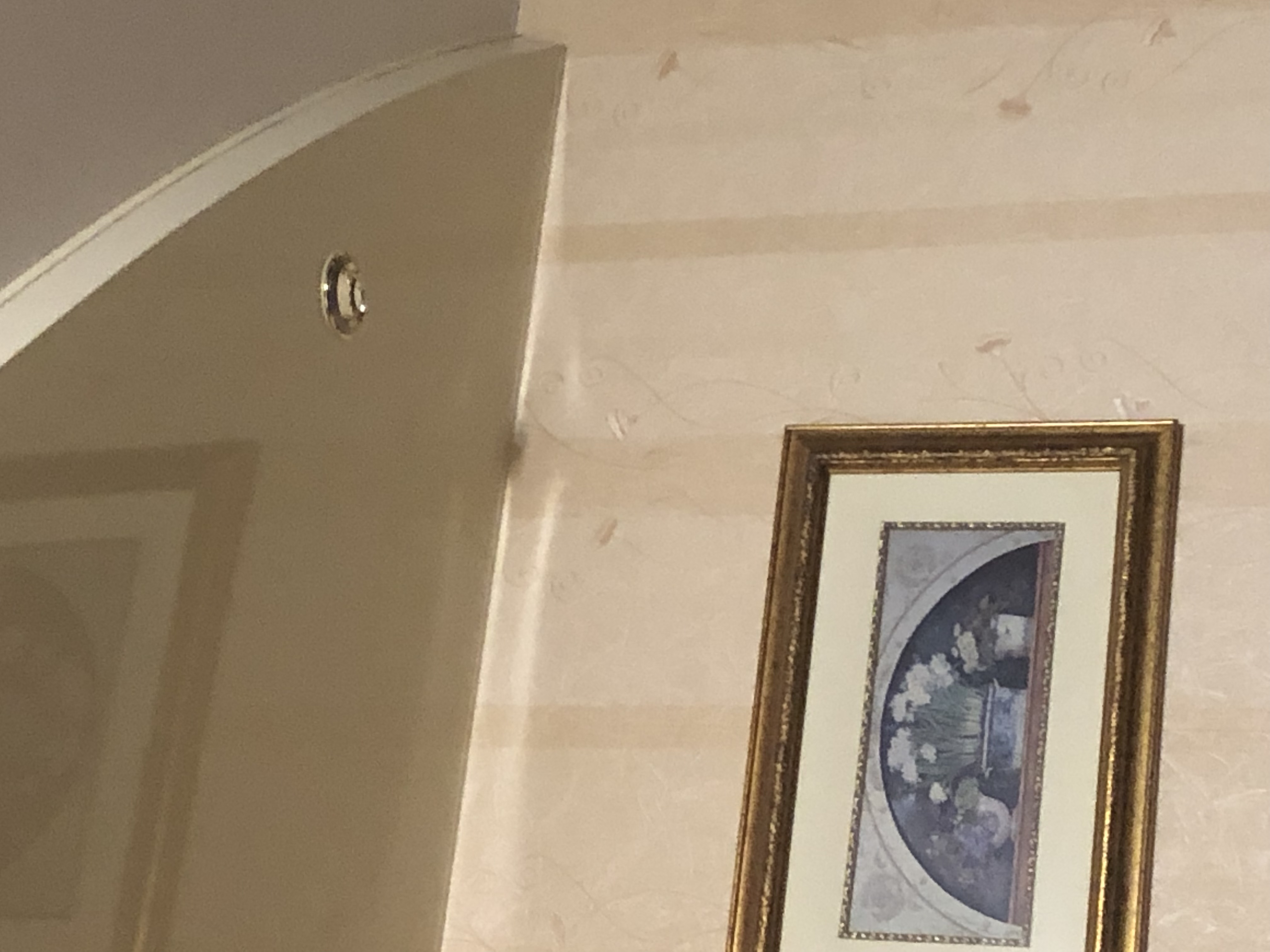 🖼