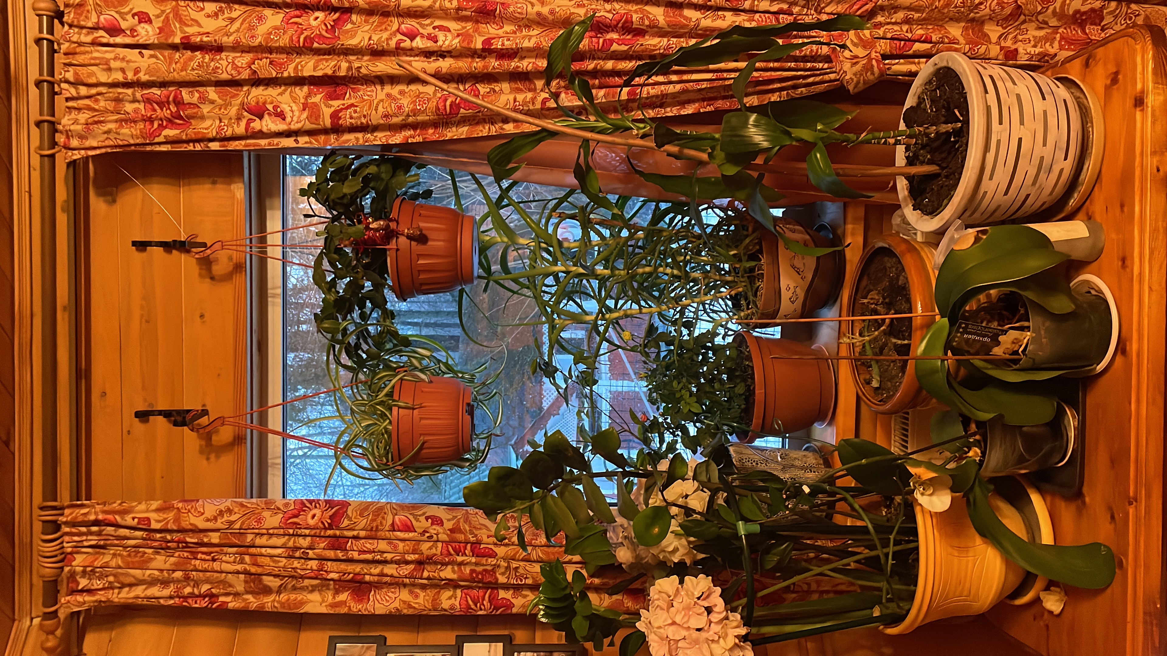 🖼