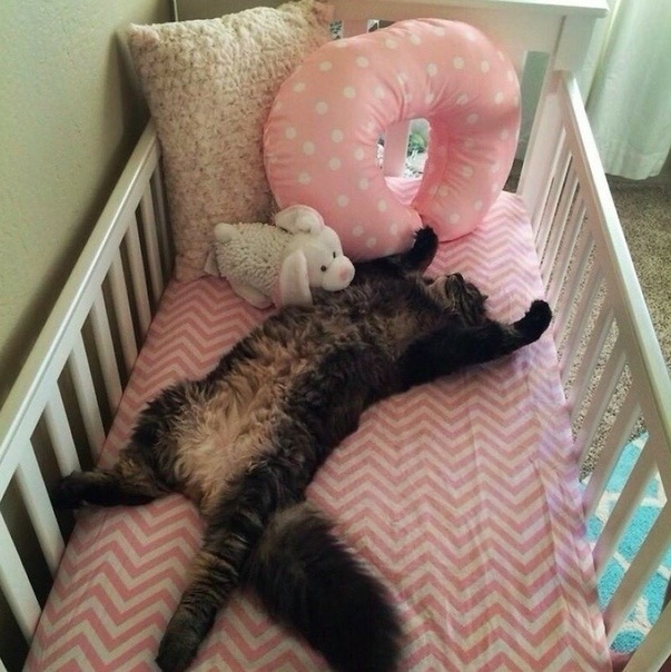 🖼