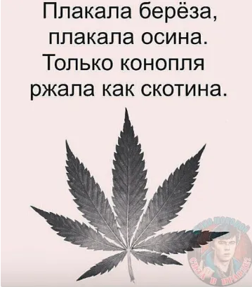 🖼