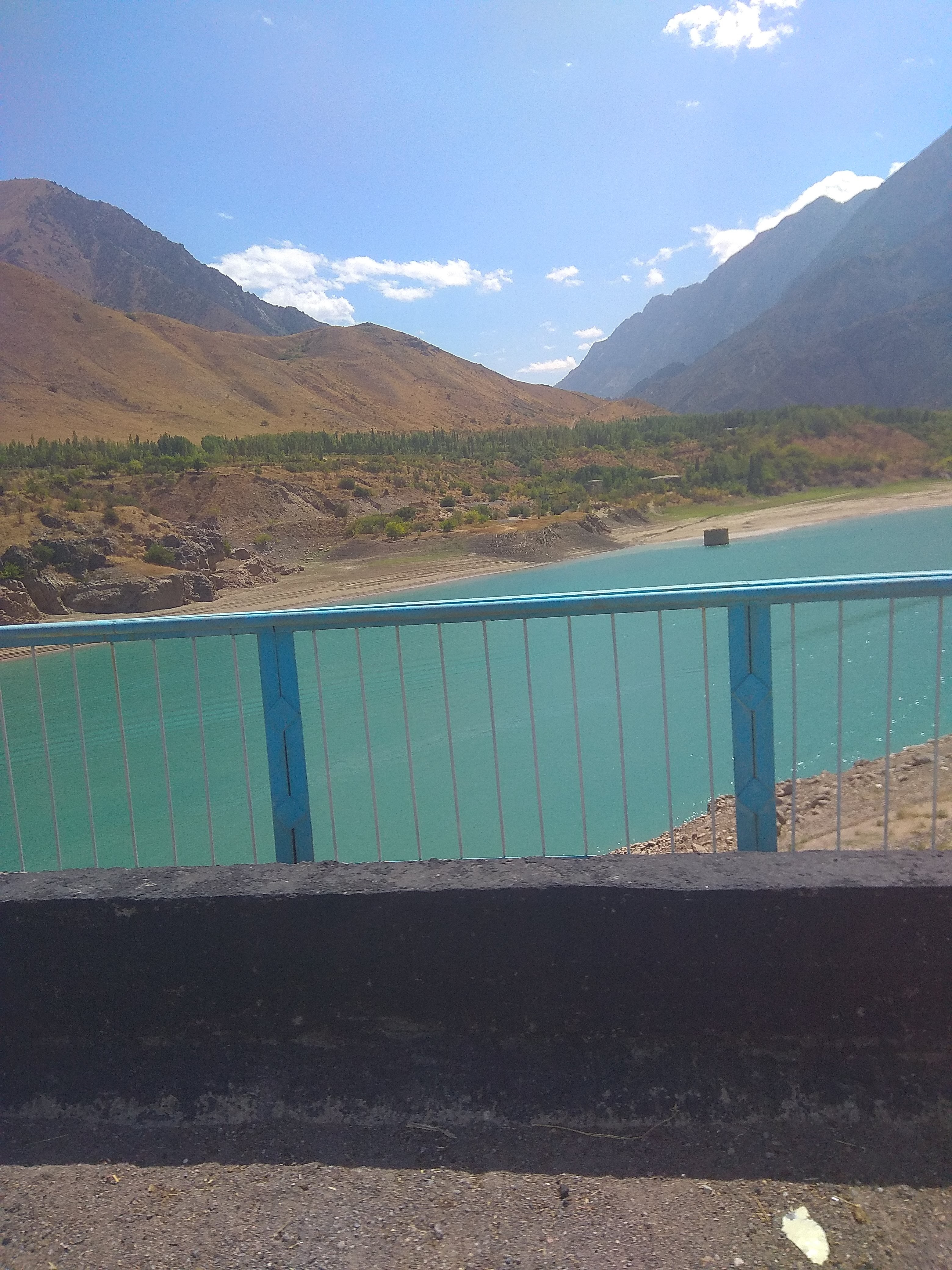 🖼