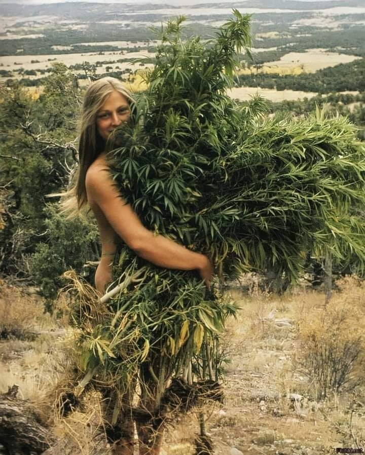 🖼