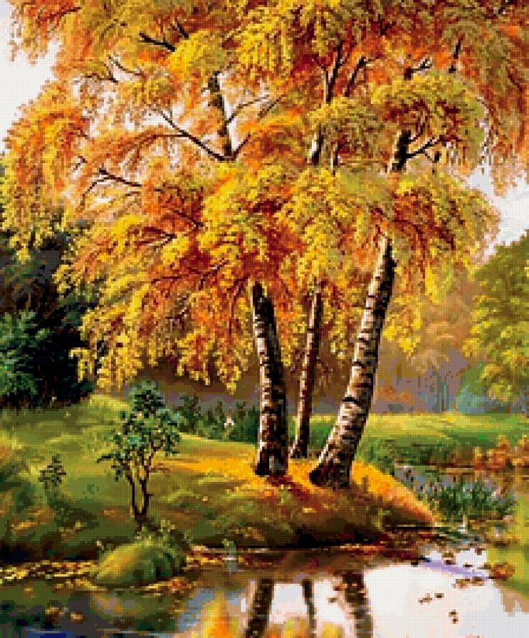 🖼