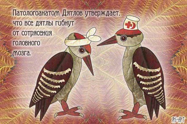 🖼