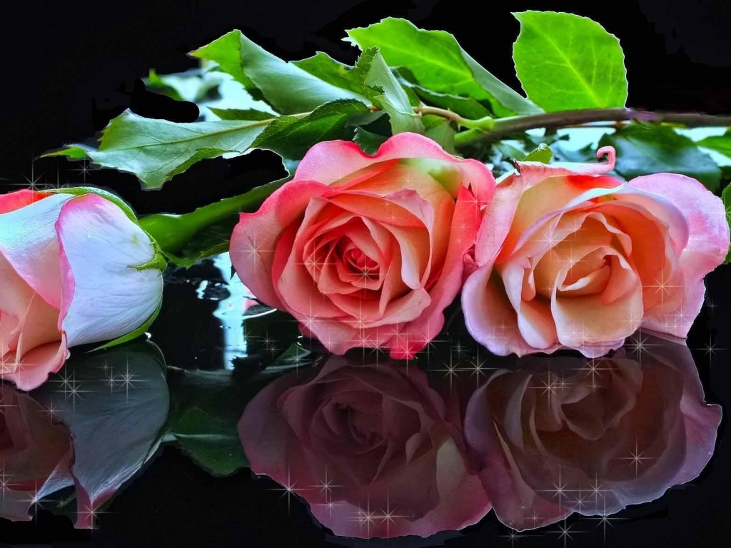 🖼