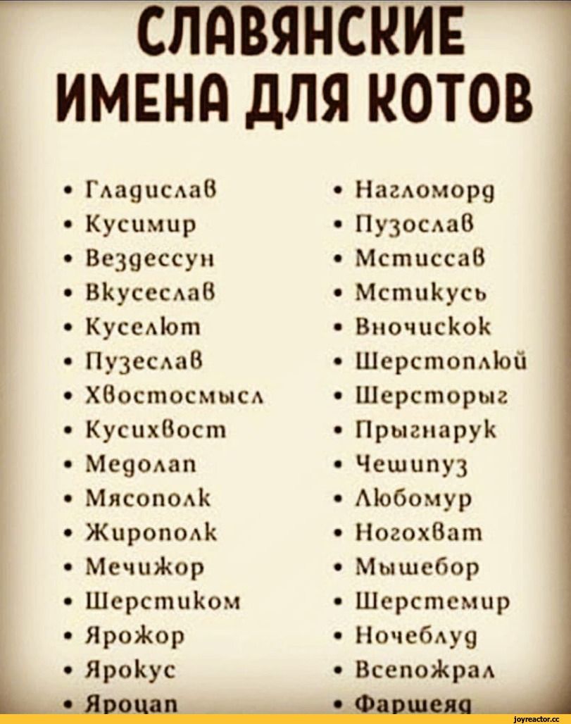 <b>Прикольные</b> <b>названия</b> <b>для</b> семьи. 