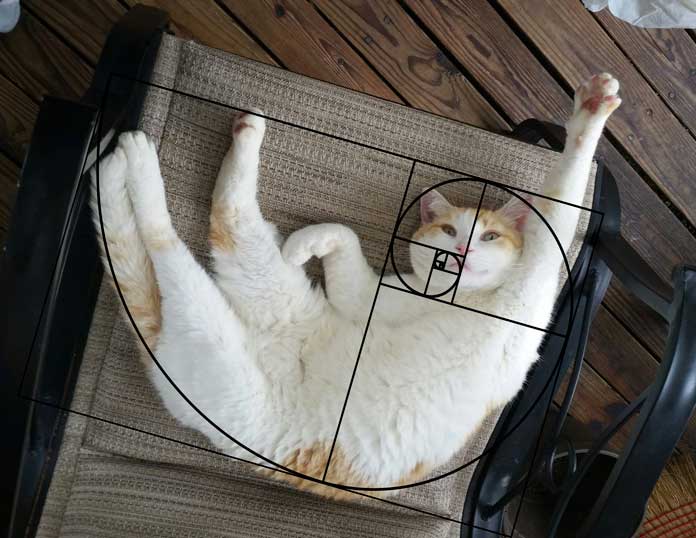 🖼