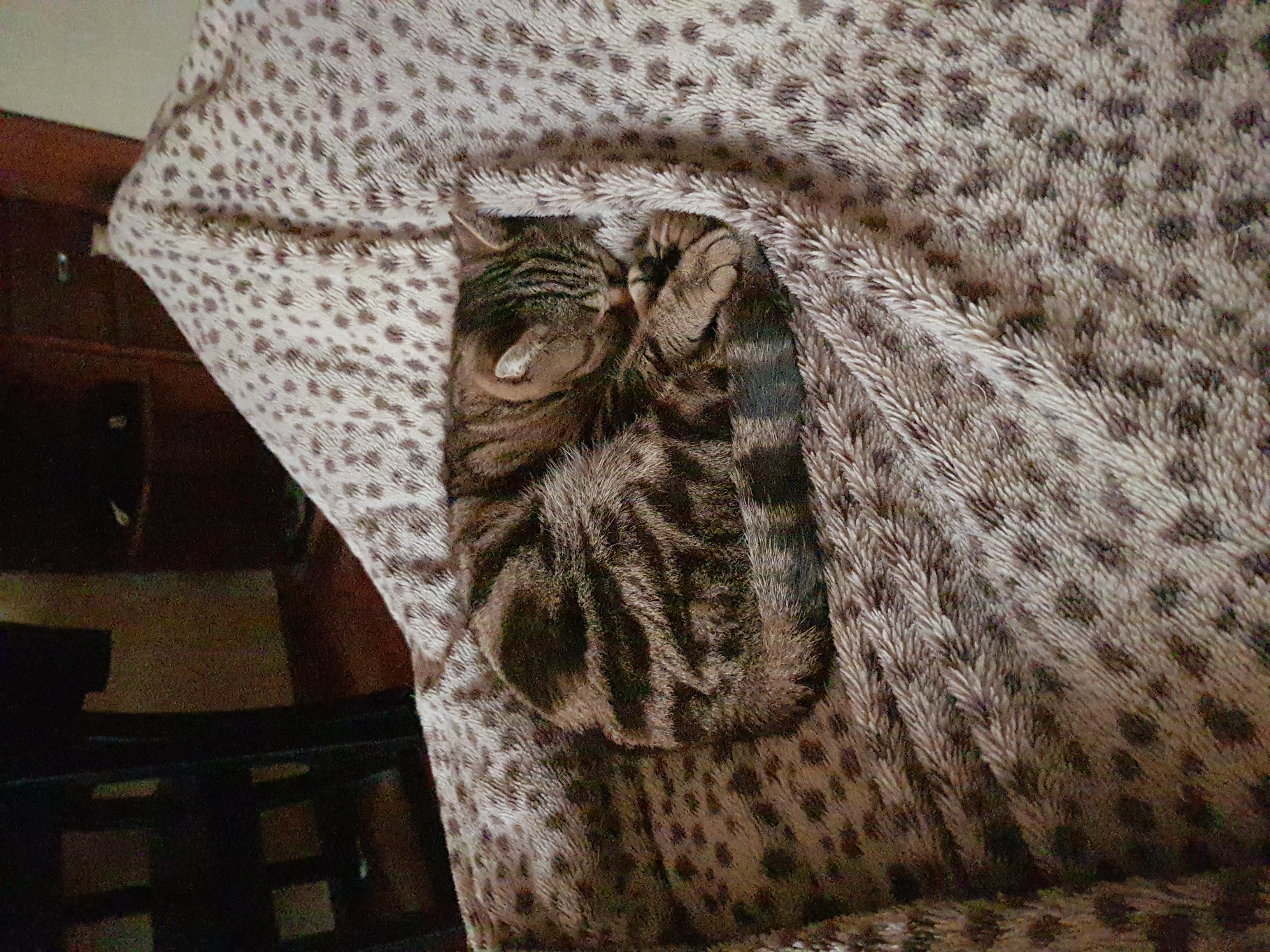 🖼