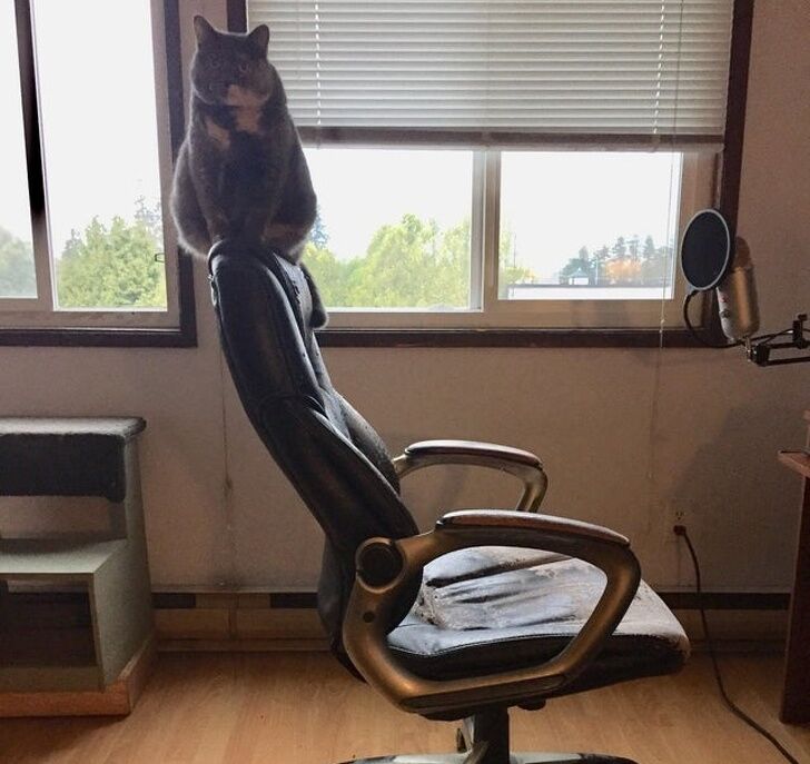 🖼