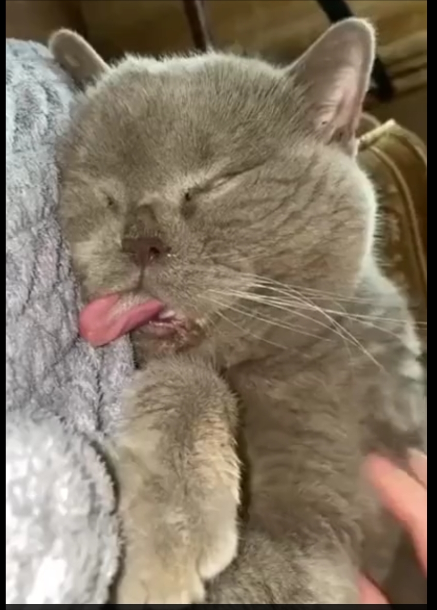 🖼
