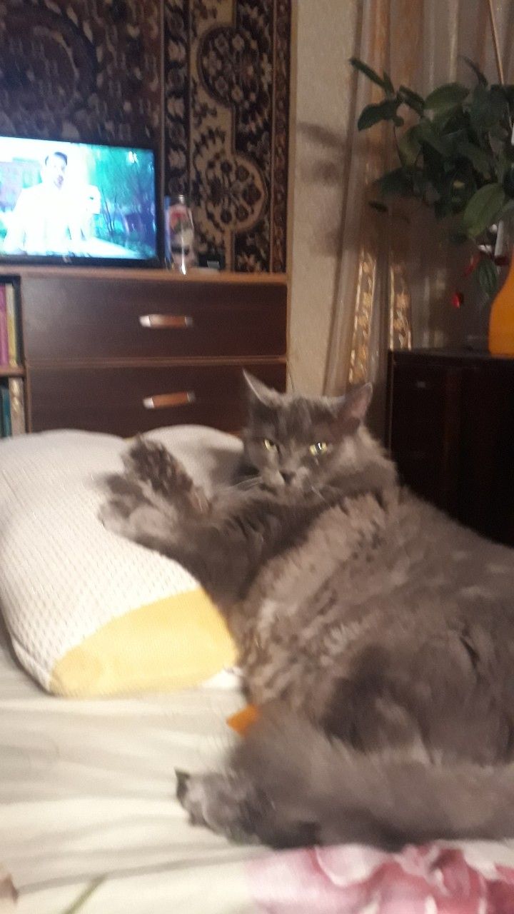 🖼