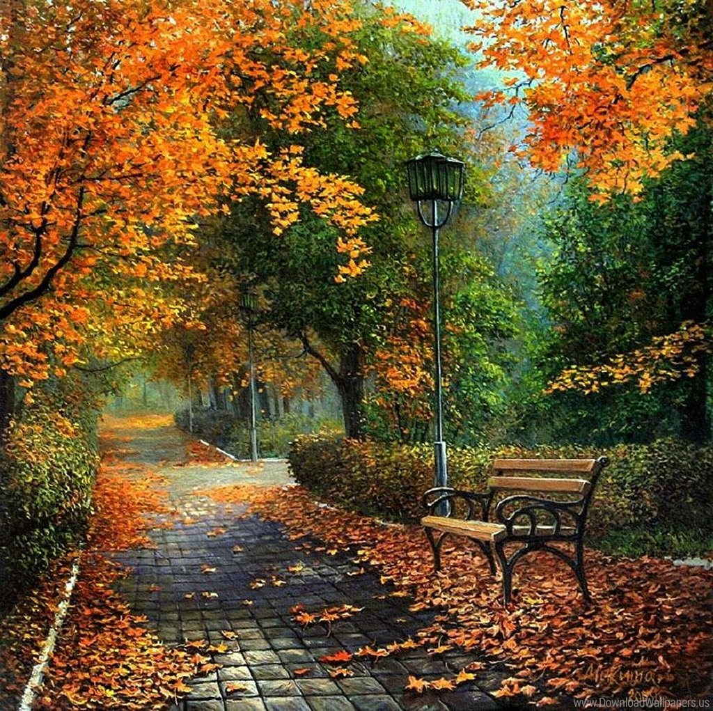 🖼
