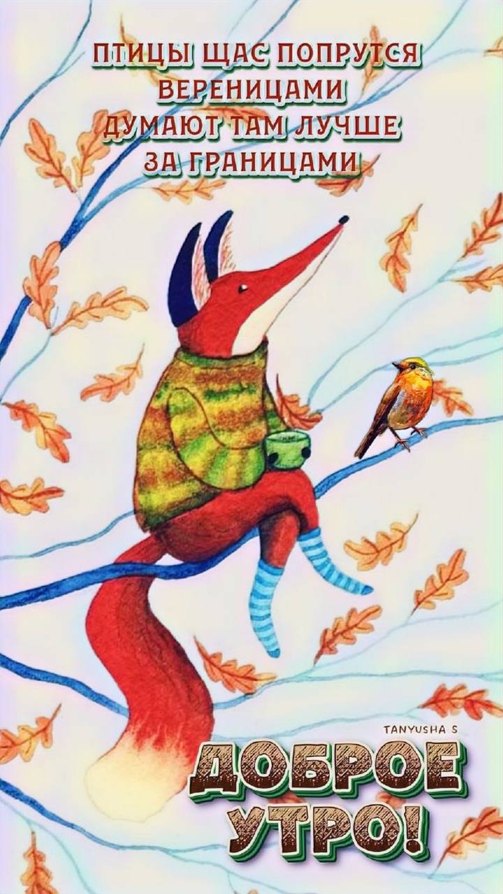 🖼