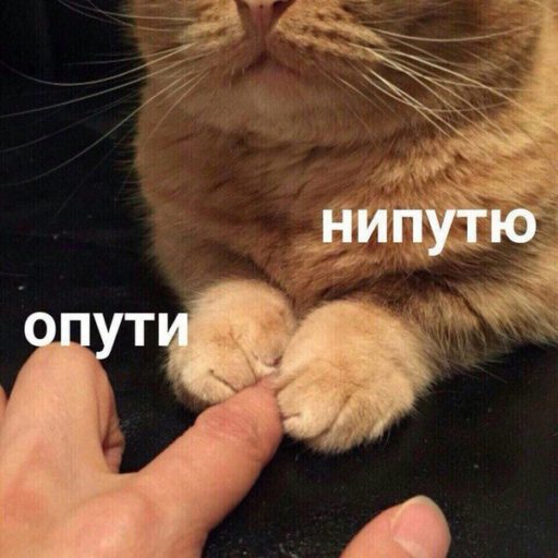 🖼