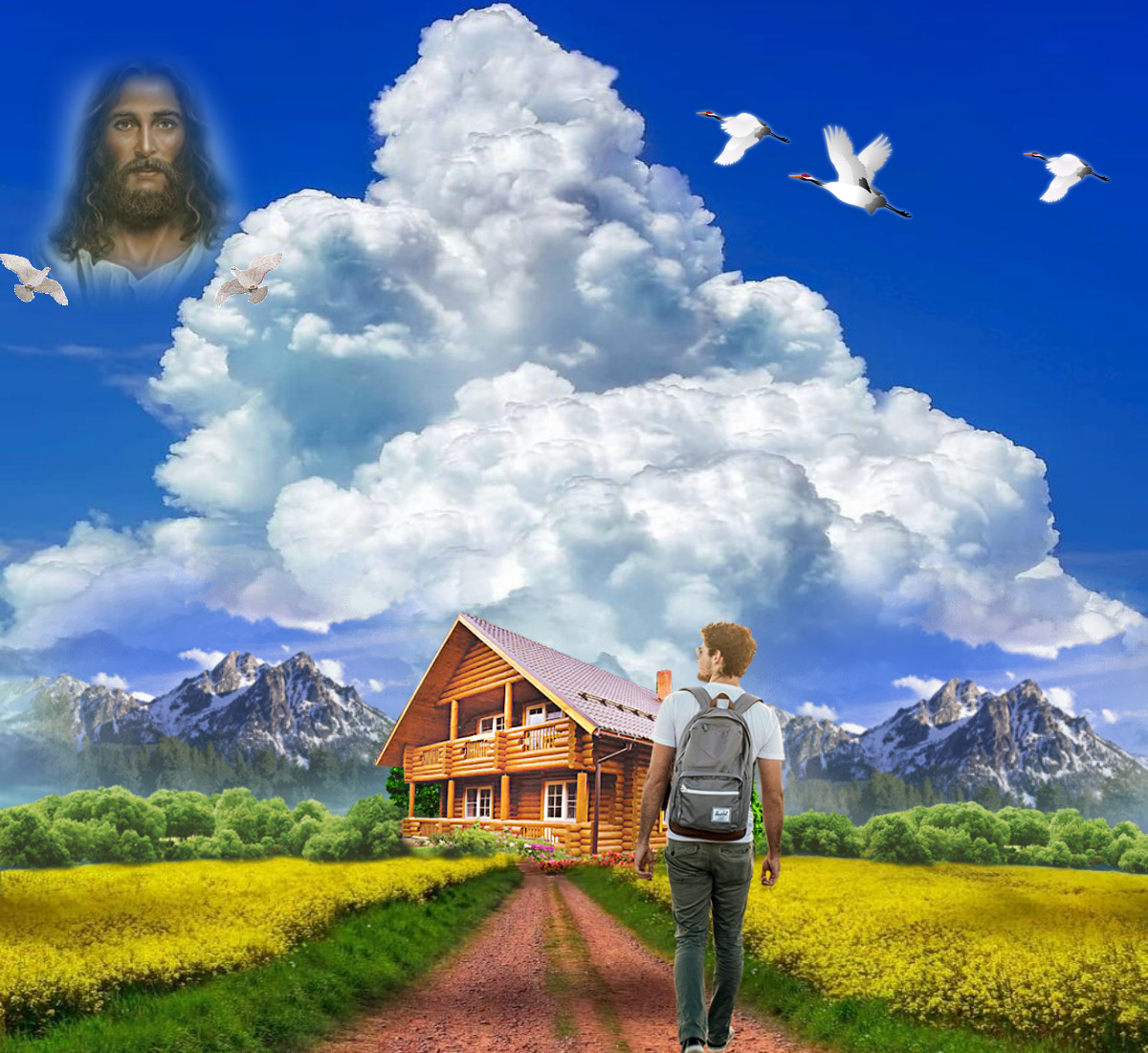 🖼