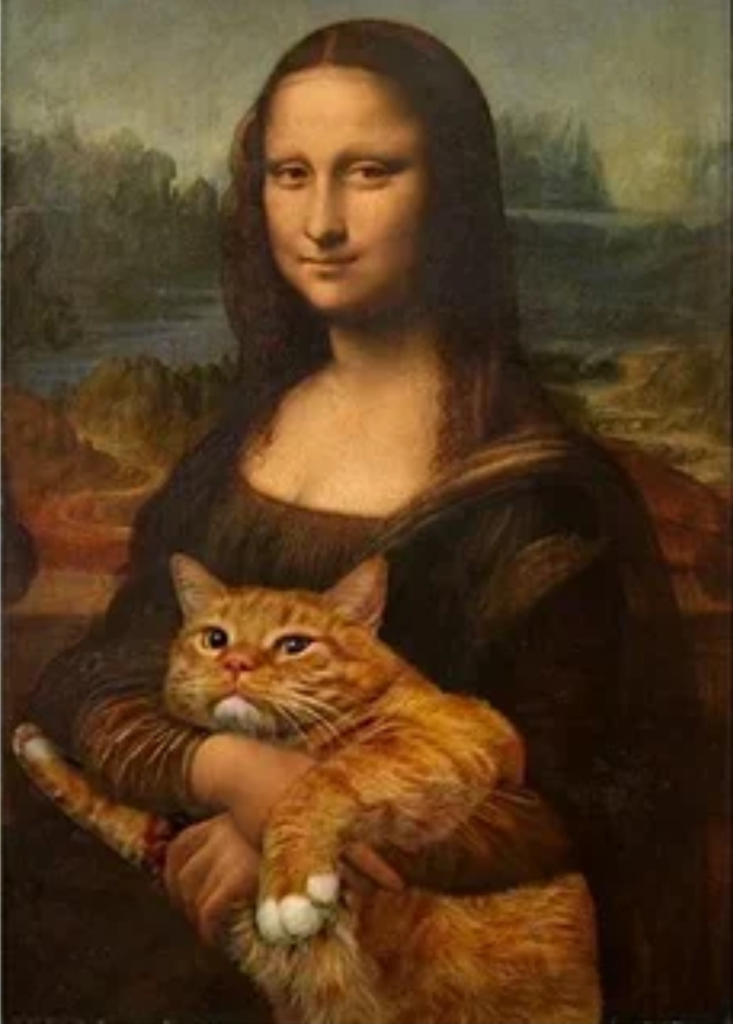 🖼