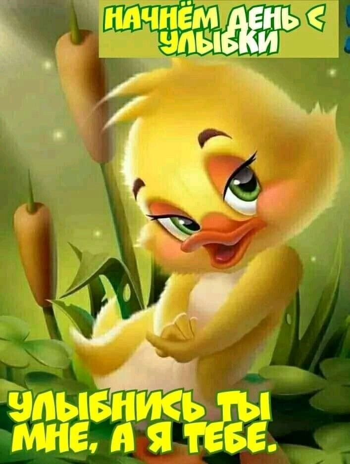 🖼