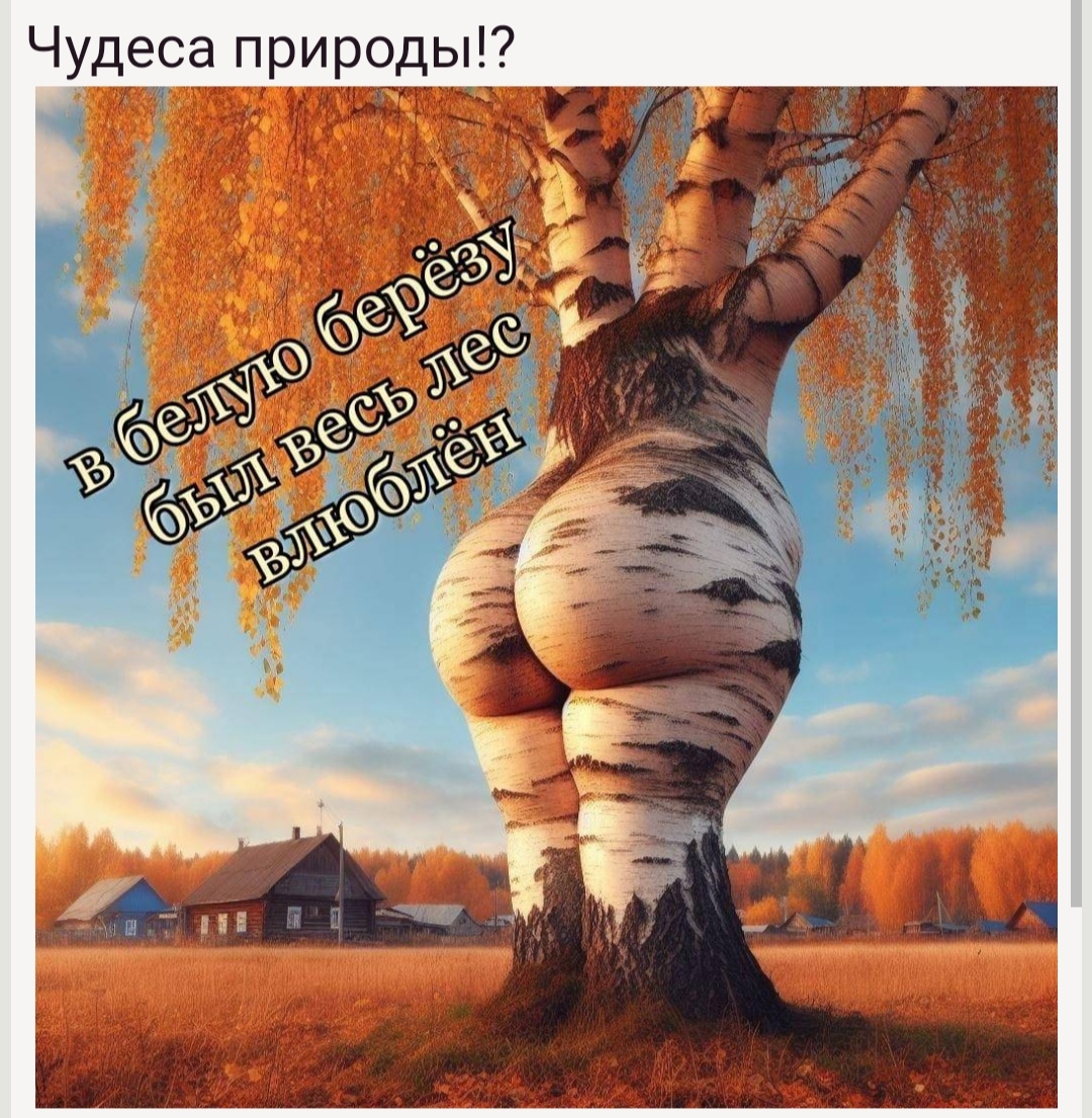🖼