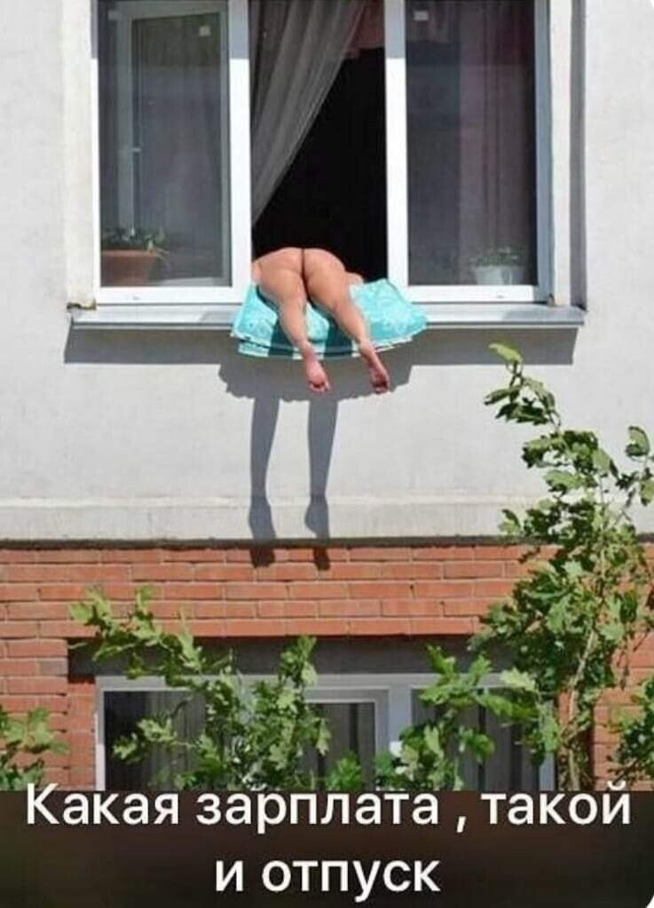 🖼