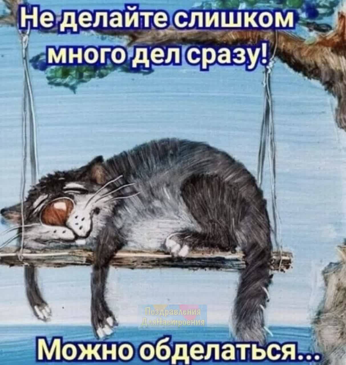 🖼