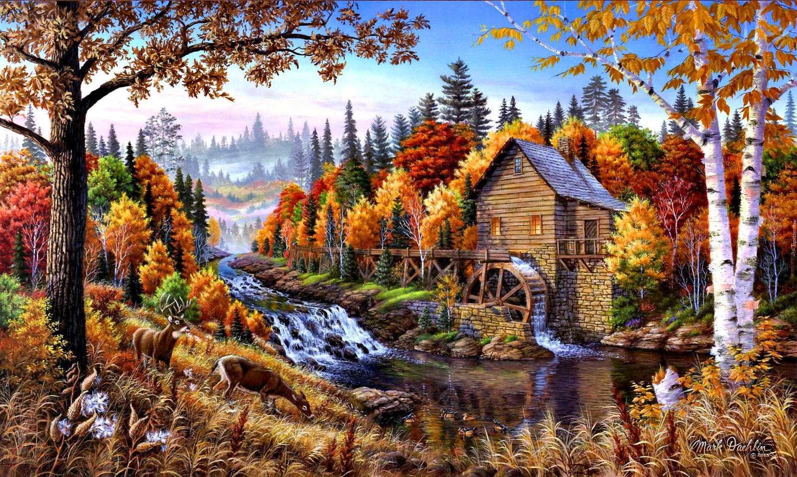 🖼