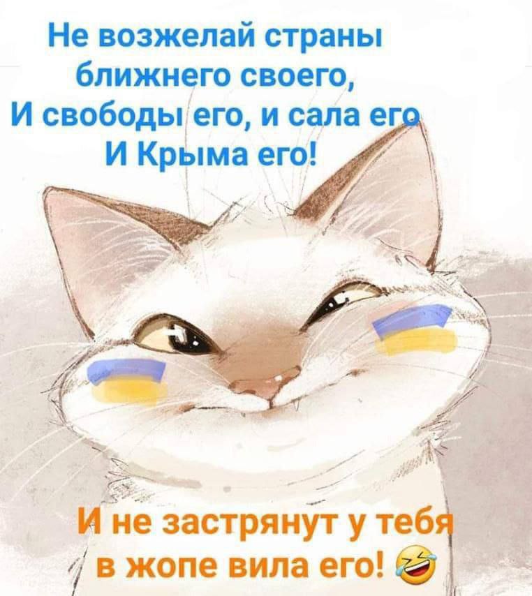 🖼