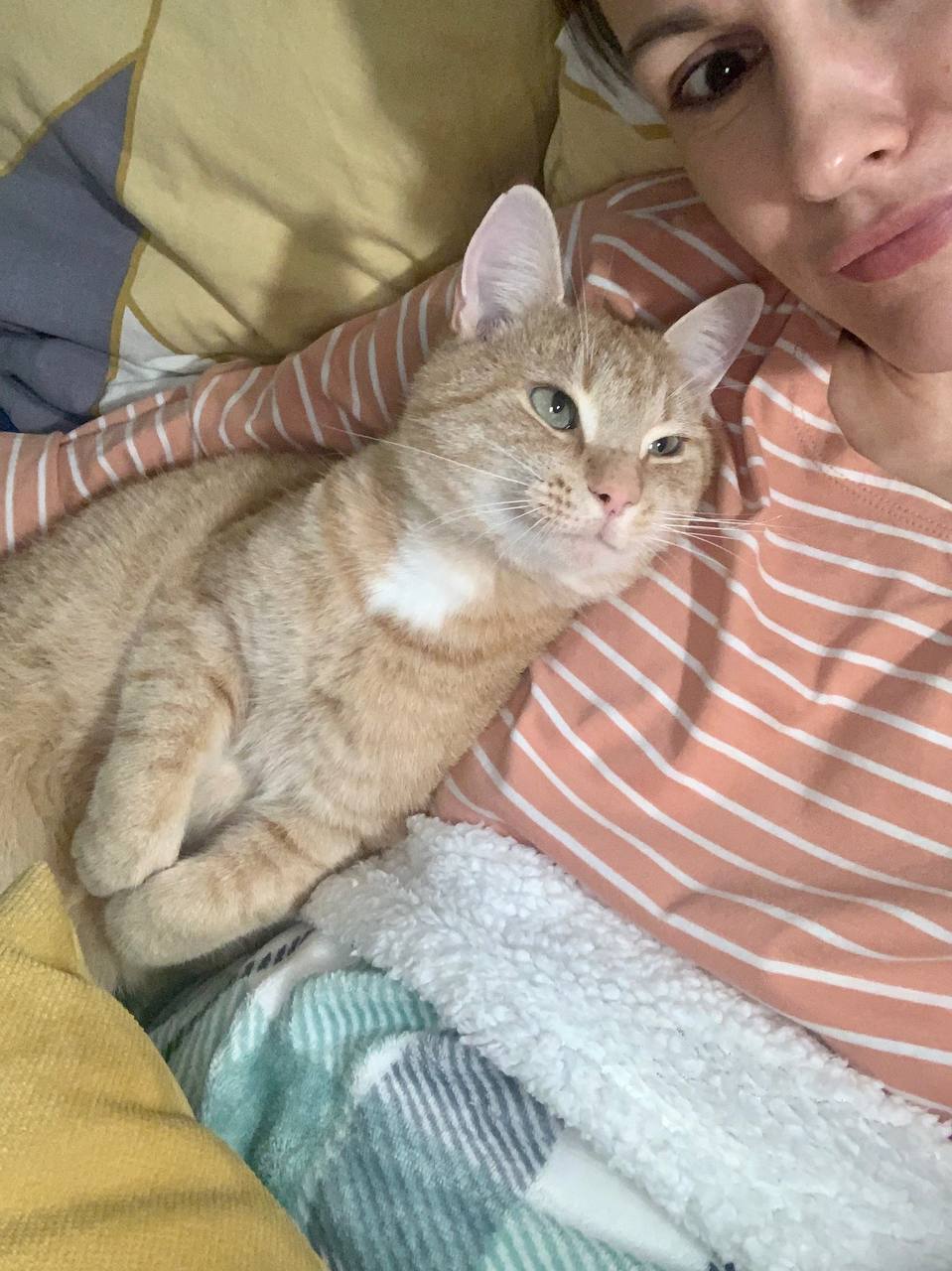 🖼