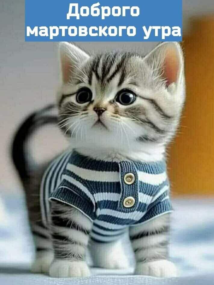 🖼