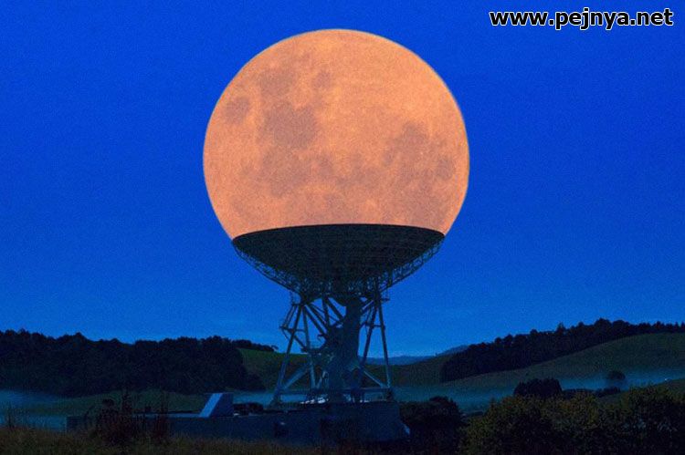 🖼