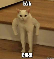 🖼