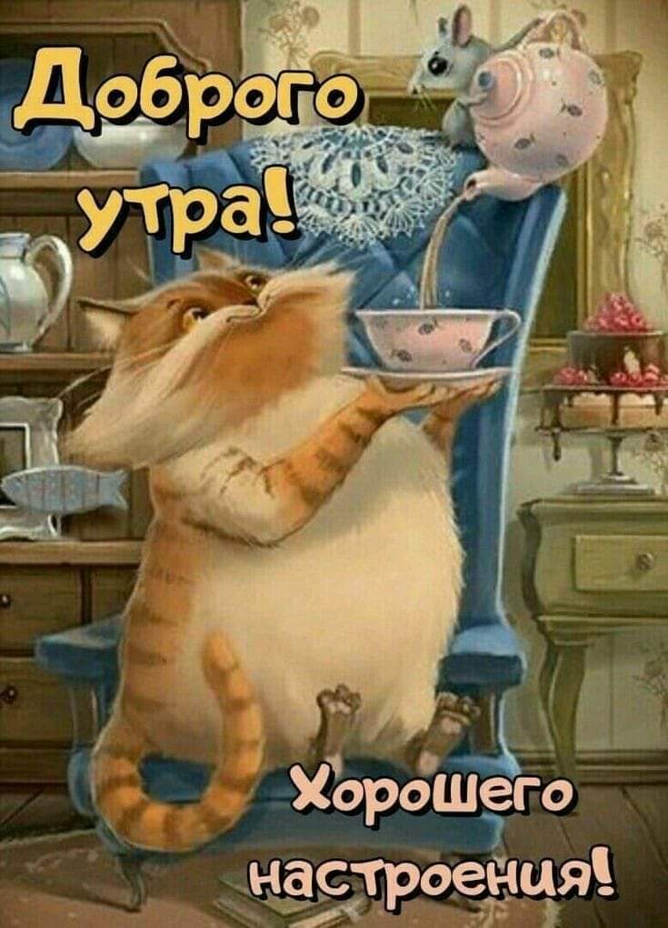 🖼