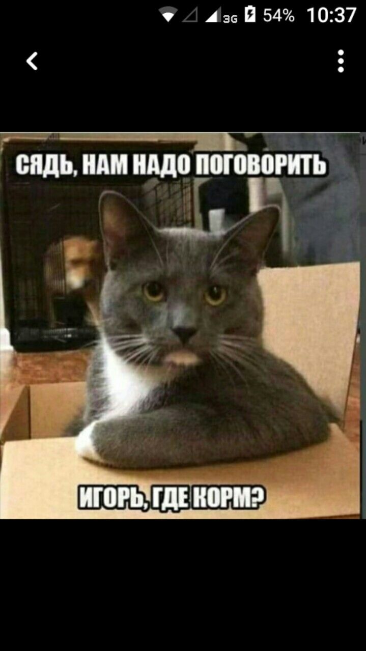 🖼