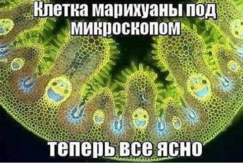 🖼