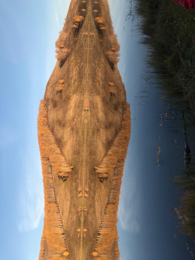 🖼