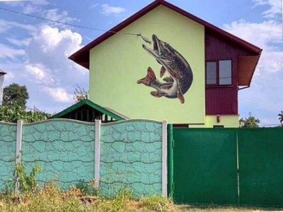 🖼