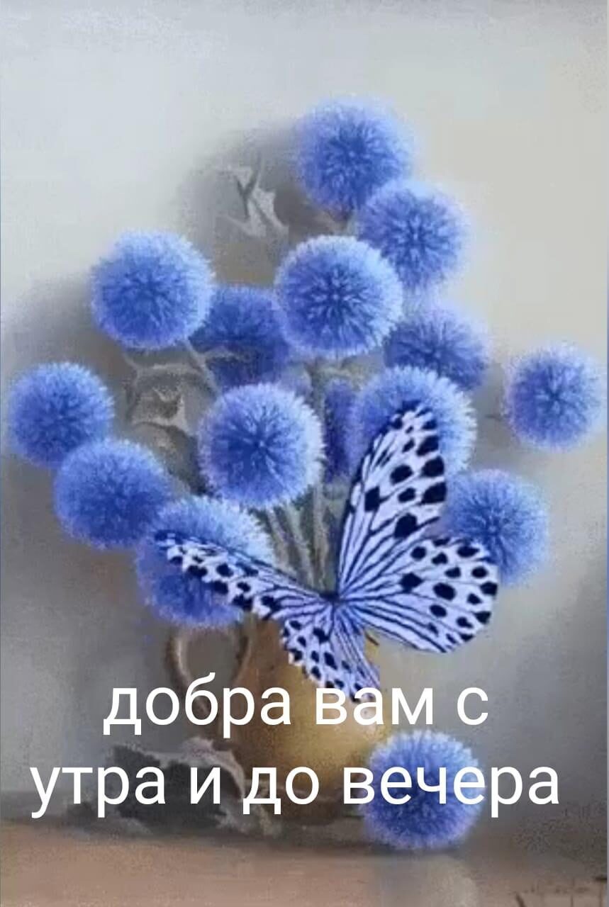 🖼