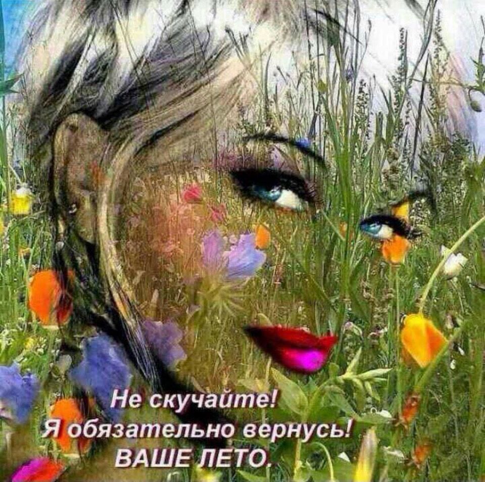 🖼