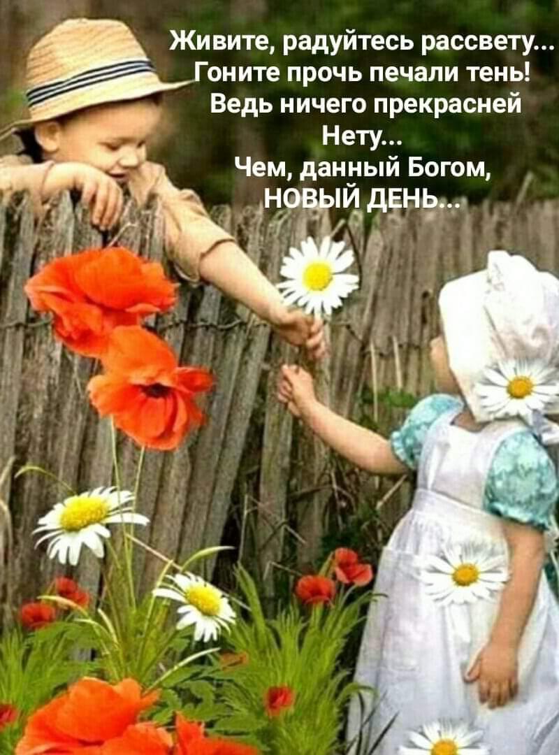 Я свою меру алкоголя знаю упала значит хватит. Смотреть фото Я свою меру алкоголя знаю упала значит хватит. Смотреть картинку Я свою меру алкоголя знаю упала значит хватит. Картинка про Я свою меру алкоголя знаю упала значит хватит. Фото Я свою меру алкоголя знаю упала значит хватит