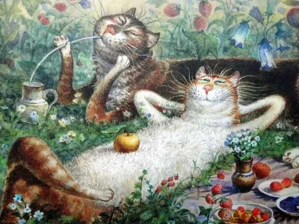 🖼