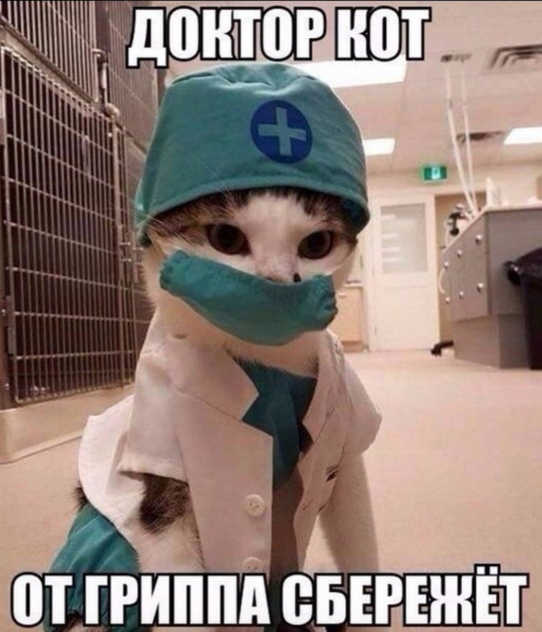 Котик врач арт