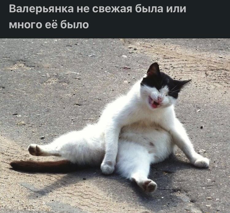 🖼
