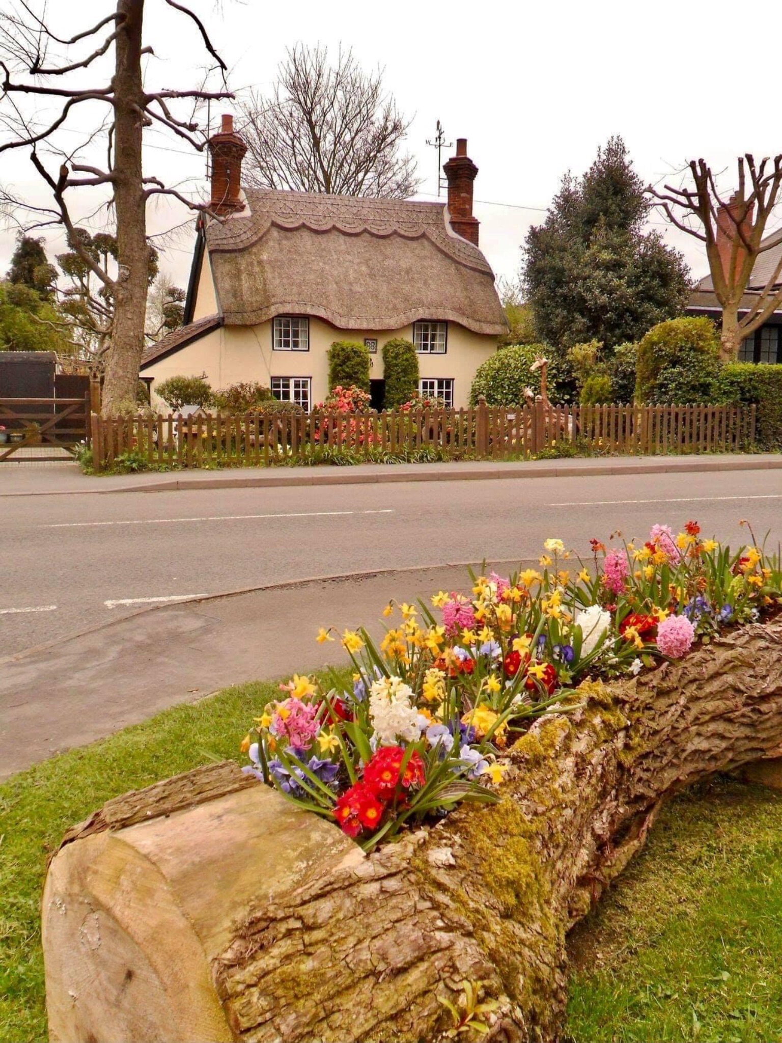 🖼
